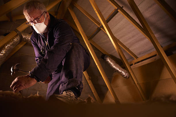 Professional Insulation Contractor in ID